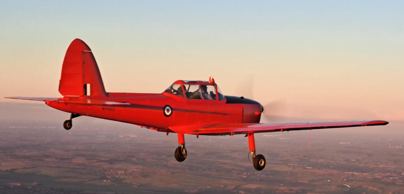 WP903 - The Royal Chipmunk